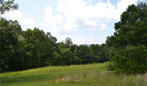 Photo #10 of 1075 Cook Ridge, Germanton, NC 43.2 acres