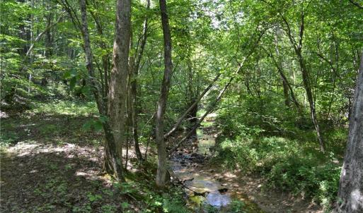 Photo #14 of 1075 Cook Ridge, Germanton, NC 43.2 acres