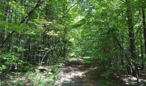 Photo #18 of 1075 Cook Ridge, Germanton, NC 43.2 acres