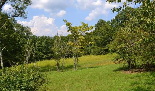 Photo #11 of 1075 Cook Ridge, Germanton, NC 43.2 acres