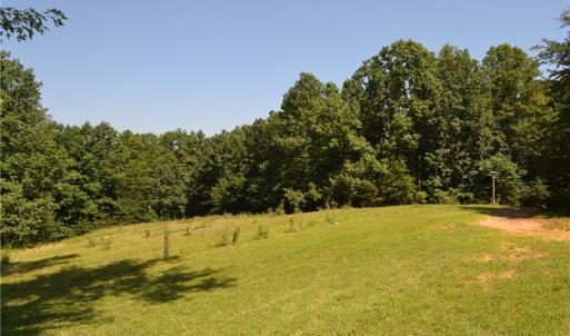 Photo #19 of 1075 Cook Ridge, Germanton, NC 43.2 acres