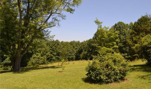 Photo #31 of 1075 Cook Ridge, Germanton, NC 43.2 acres