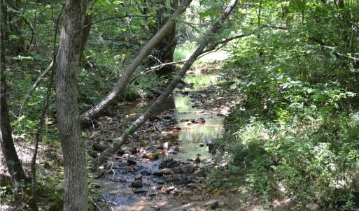 Photo #4 of 1075 Cook Ridge, Germanton, NC 43.2 acres