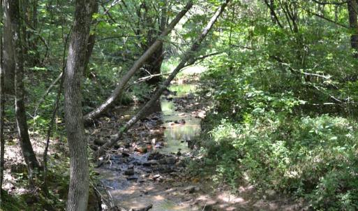Photo #8 of 1075 Cook Ridge, Germanton, NC 43.2 acres