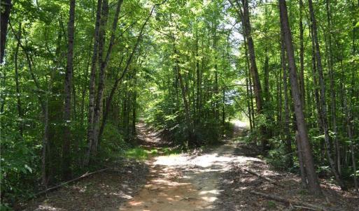 Photo #21 of 1075 Cook Ridge, Germanton, NC 43.2 acres