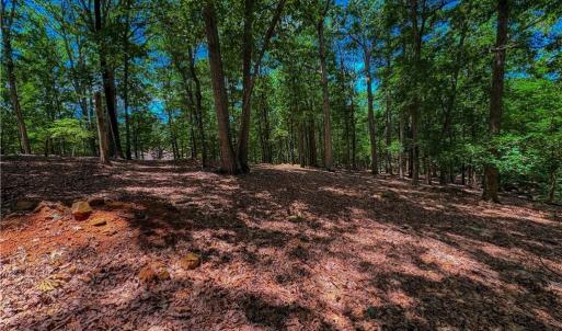 Photo #2 of 1560 Rocky Cove, Denton, NC 1.7 acres