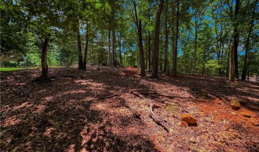 Photo #3 of 1560 Rocky Cove, Denton, NC 1.7 acres