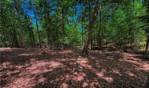 Photo #1 of 1560 Rocky Cove, Denton, NC 1.7 acres