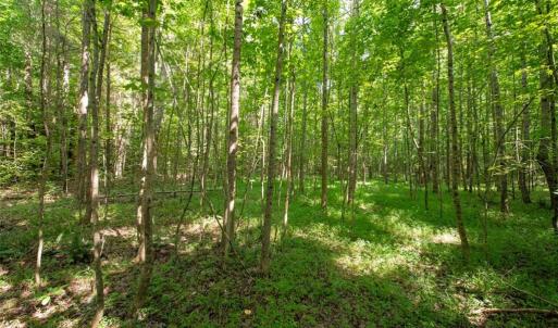 Photo #8 of Center Methodist Church, Troy, NC 21.6 acres