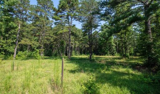 Photo #16 of Center Methodist Church, Troy, NC 21.6 acres