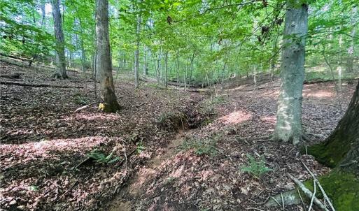 Photo #23 of TBD Trinity Church, Tobaccoville, NC 4.4 acres