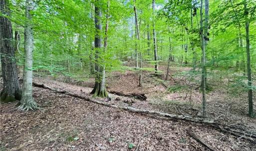 Photo #27 of TBD Trinity Church, Tobaccoville, NC 4.4 acres