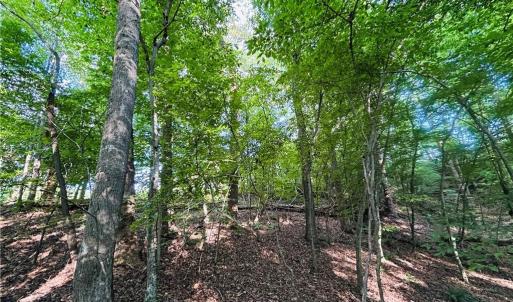 Photo #13 of TBD Trinity Church, Tobaccoville, NC 4.4 acres