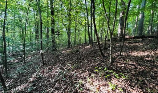 Photo #16 of TBD Trinity Church, Tobaccoville, NC 4.4 acres