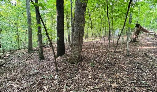 Photo #12 of TBD Trinity Church, Tobaccoville, NC 4.4 acres