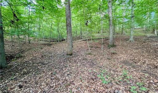 Photo #26 of TBD Trinity Church, Tobaccoville, NC 4.4 acres