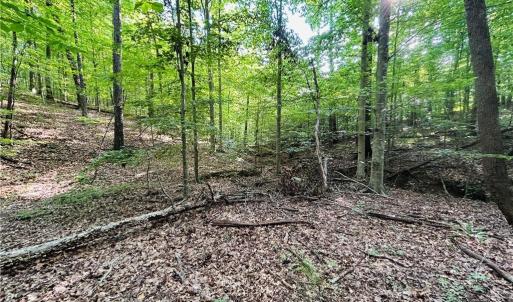 Photo #22 of TBD Trinity Church, Tobaccoville, NC 4.4 acres