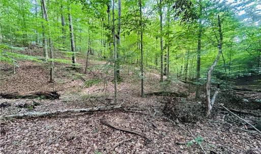 Photo #28 of TBD Trinity Church, Tobaccoville, NC 4.4 acres
