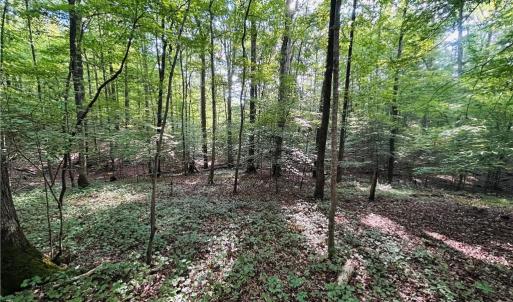Photo #20 of TBD Trinity Church, Tobaccoville, NC 4.4 acres