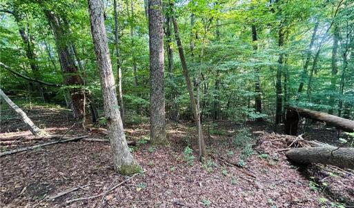 Photo #9 of TBD Trinity Church, Tobaccoville, NC 4.4 acres