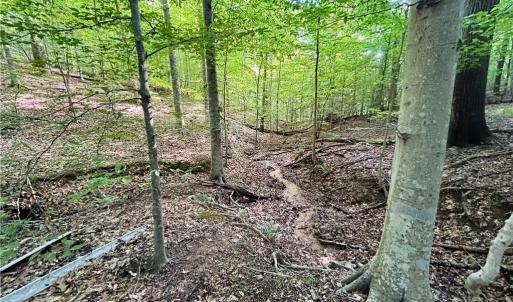Photo #24 of TBD Trinity Church, Tobaccoville, NC 4.4 acres