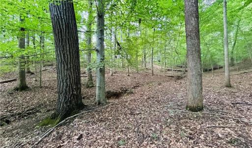 Photo #30 of TBD Trinity Church, Tobaccoville, NC 4.4 acres