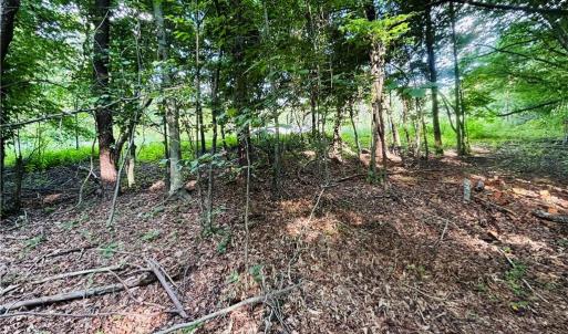 Photo #10 of TBD Trinity Church, Tobaccoville, NC 4.4 acres
