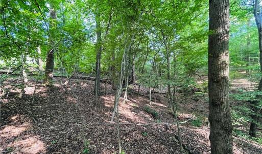 Photo #14 of TBD Trinity Church, Tobaccoville, NC 4.4 acres