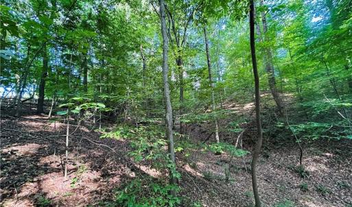 Photo #18 of TBD Trinity Church, Tobaccoville, NC 4.4 acres