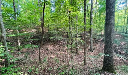 Photo #15 of TBD Trinity Church, Tobaccoville, NC 4.4 acres