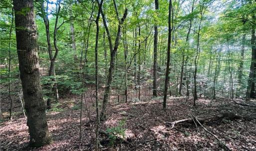 Photo #11 of TBD Trinity Church, Tobaccoville, NC 4.4 acres