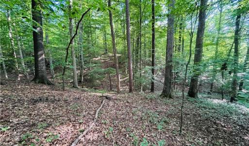 Photo #19 of TBD Trinity Church, Tobaccoville, NC 4.4 acres