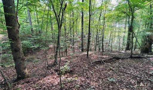 Photo #31 of TBD Trinity Church, Tobaccoville, NC 4.4 acres
