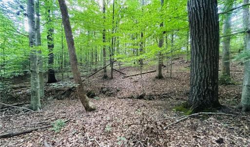 Photo #29 of TBD Trinity Church, Tobaccoville, NC 4.4 acres