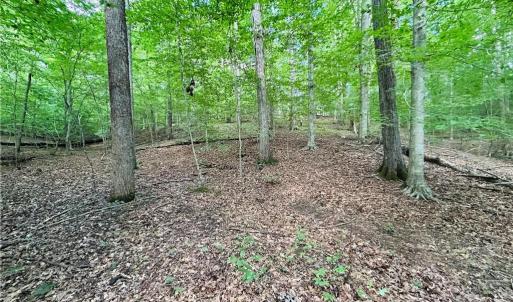 Photo #25 of TBD Trinity Church, Tobaccoville, NC 4.4 acres