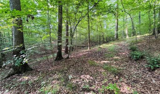 Photo #21 of TBD Trinity Church, Tobaccoville, NC 4.4 acres