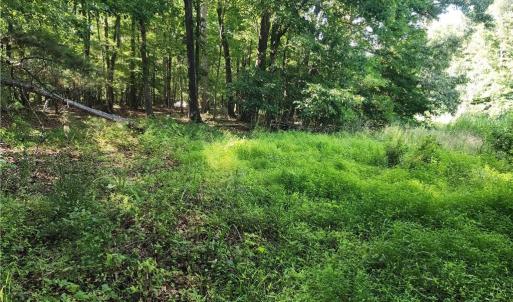 Photo #12 of 5500 Pisgah Covered Bridge, Asheboro, NC 26.4 acres