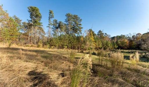 Photo #20 of 120 Brookberry, Jamestown, NC 7.9 acres