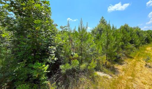 Photo #23 of US Highway 220, Asheboro, NC 32.3 acres