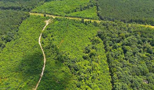 Photo #18 of US Highway 220, Asheboro, NC 32.3 acres