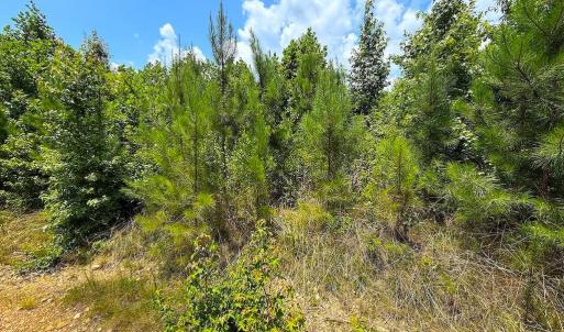 Photo #22 of US Highway 220, Asheboro, NC 32.3 acres