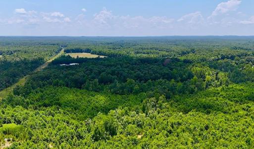 Photo #15 of US Highway 220, Asheboro, NC 32.3 acres