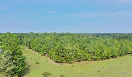 Photo #7 of 6972 Bowman Dairy, Liberty, NC 31.3 acres
