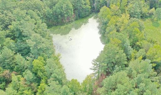 Photo #32 of 6972 Bowman Dairy, Liberty, NC 31.3 acres