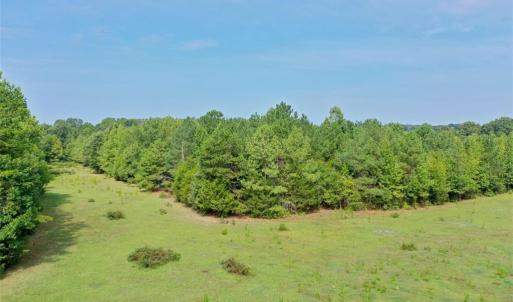 Photo #8 of 6972 Bowman Dairy, Liberty, NC 31.3 acres