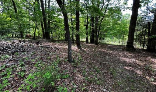 Photo #1 of Virgilina, Cana, VA 0.8 acres