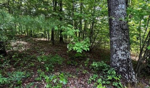 Photo #4 of Virgilina, Cana, VA 0.8 acres