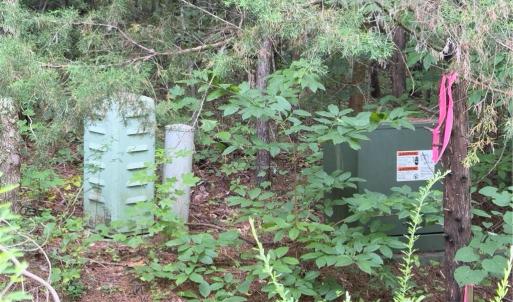 Photo #2 of Blackberry, Thomasville, NC 32.9 acres