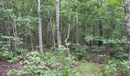 Photo #6 of Blackberry, Thomasville, NC 32.9 acres