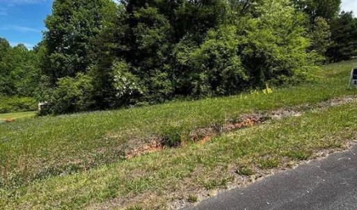 Photo #2 of Virgilina, Cana, VA 0.8 acres